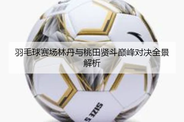 羽毛球赛场林丹与桃田贤斗巅峰对决全景解析